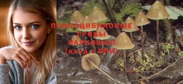 меф Арсеньев