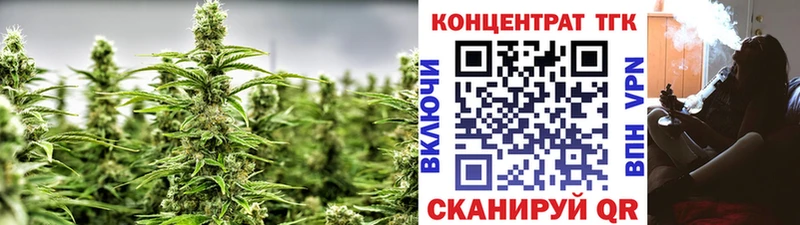 Купить закладки  Магадан  Дистиллят ТГК Wax 