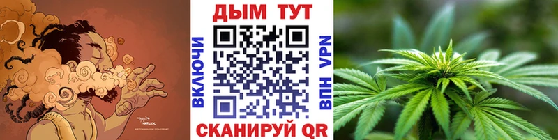 Купить где  Магадан  Шишки марихуана OG Kush 